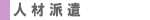 �l�ޔh��